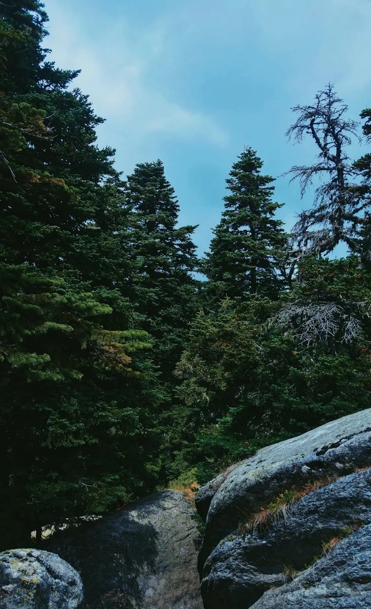 Uludağ fotoğrafı 21