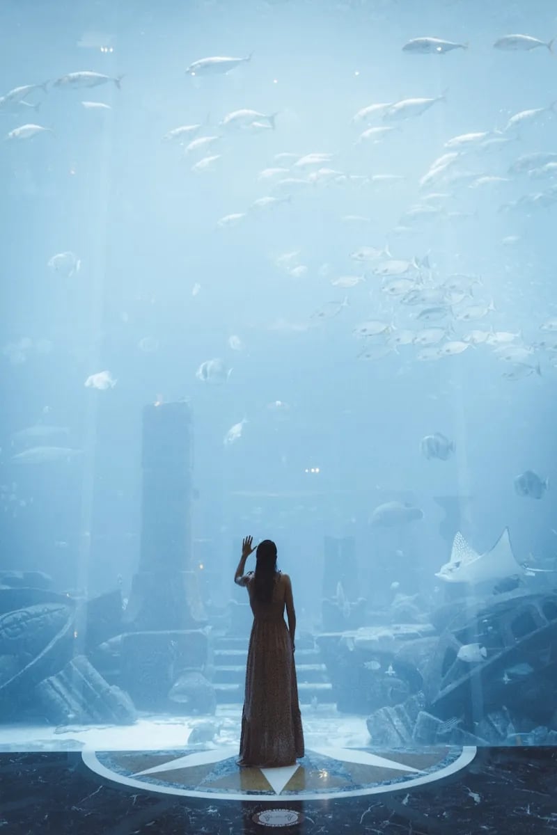Atlantis The Palm'daki Ambassador Lagoon akvaryumu