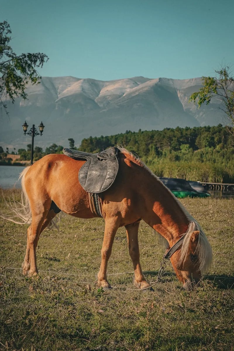 Uludağ fotoğrafı 22