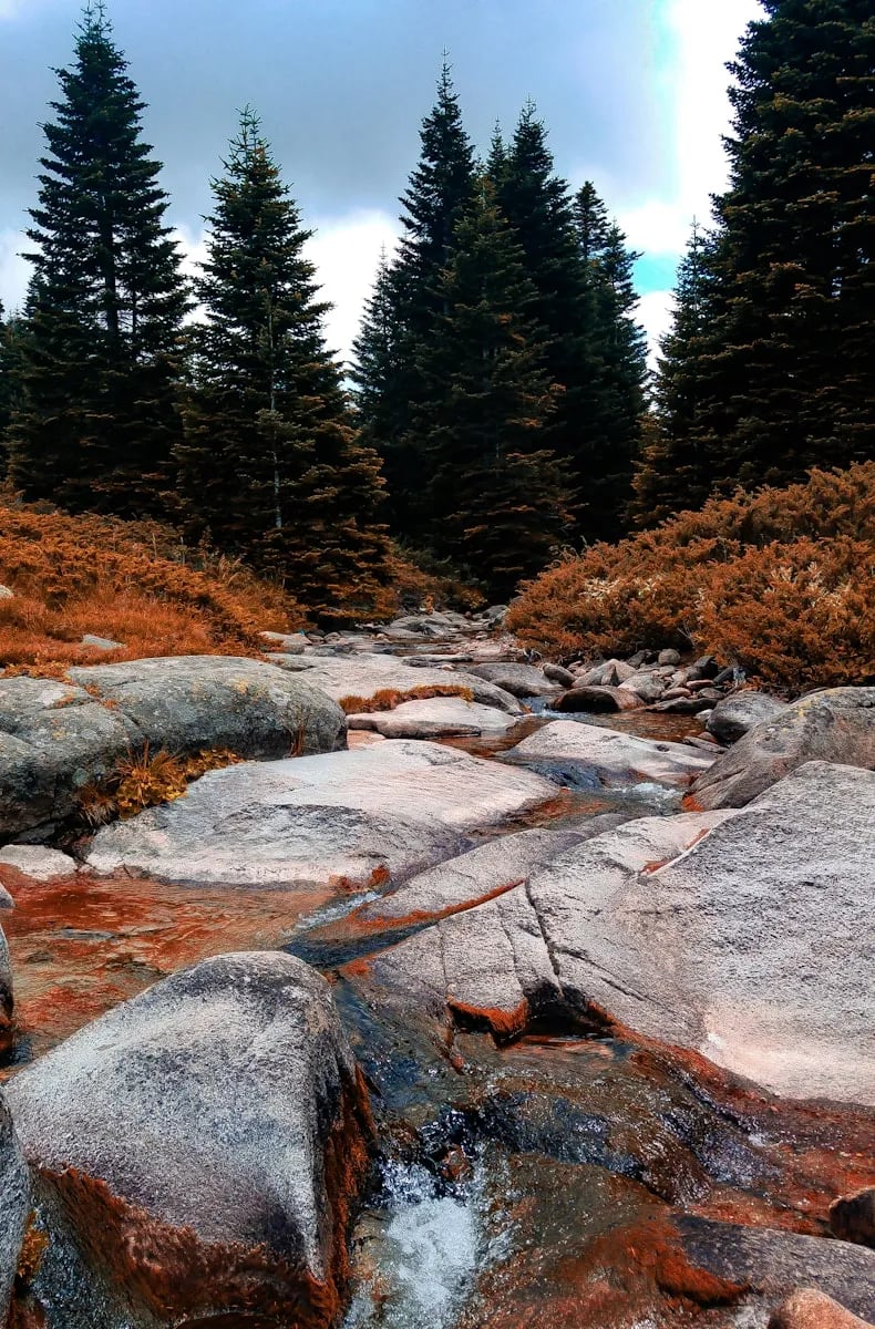 Uludağ fotoğrafı 24