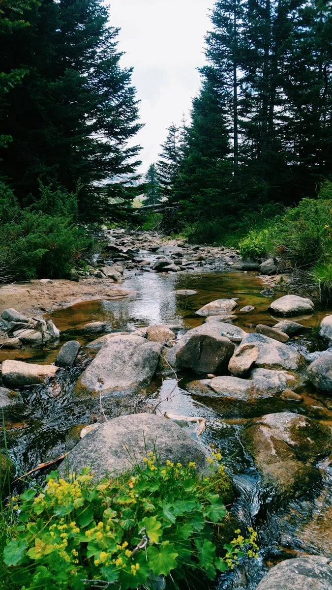 Uludağ fotoğrafı 19