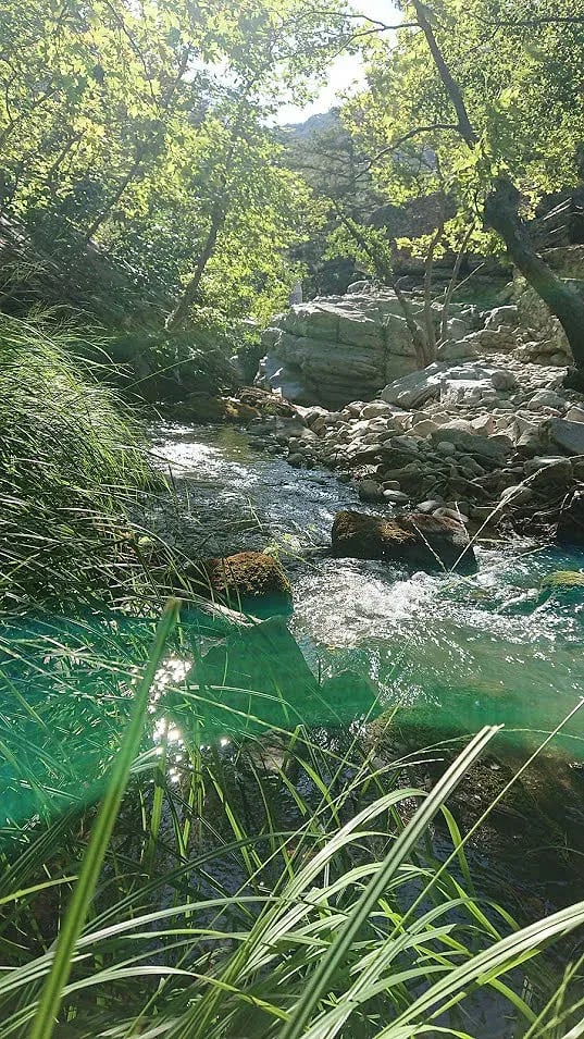 Kaz Dağları; Kaz dağlarına yakın olan Altınoluk ilçesinde yer alan bu bölge fazla el değmemiş bir yerdi