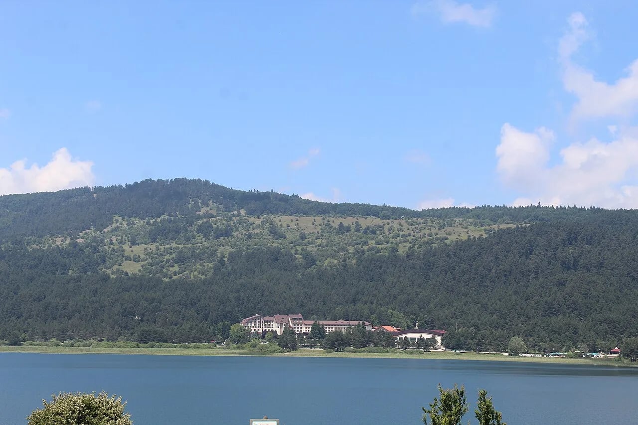 Bolu (Çam Ormanları)