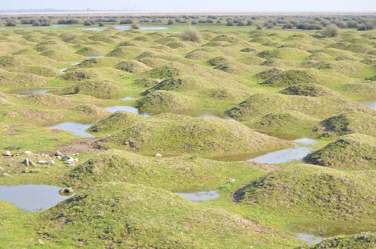 Bafra / Kızılırmak Deltası