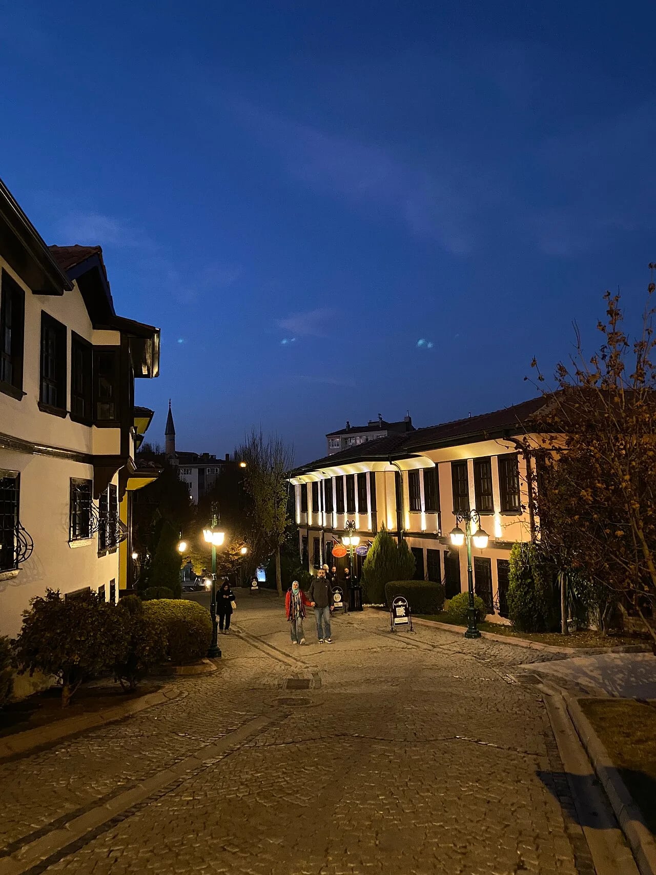 Eskişehir Odunpazarı (Kısa Transit)
