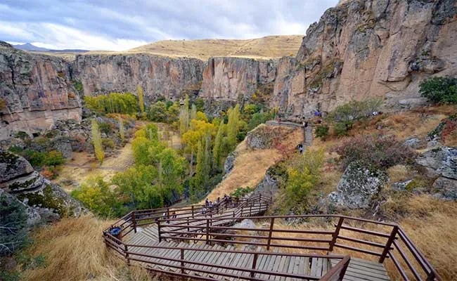 Ihlara Vadisi'nde kanyon içindeki ahşap yürüyüş yolu ve kavaklar