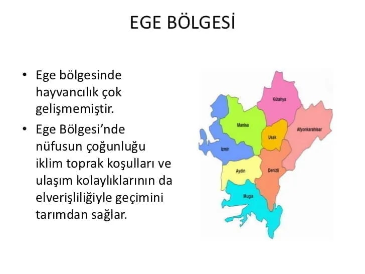 Ege Bölgesi haritası ve bölge özelliklerini anlatan sunum sayfası