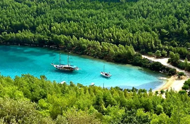 Orman çevrili turkuaz koyda demirli iki ahşap gulet, Bodrum