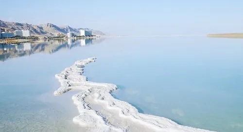 Tuz kabuğuyla kaplı sığ göl kıyısı