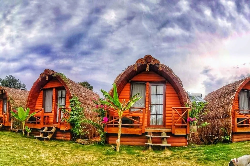 Sazdan çatılı ahşap bungalovlar ve önlerindeki palmiyeler