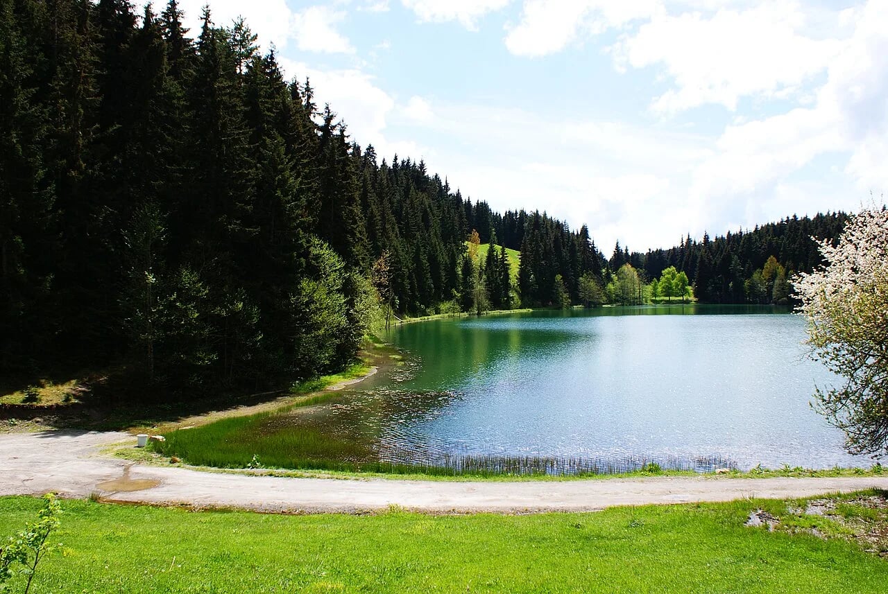 Ardahan - Artvin