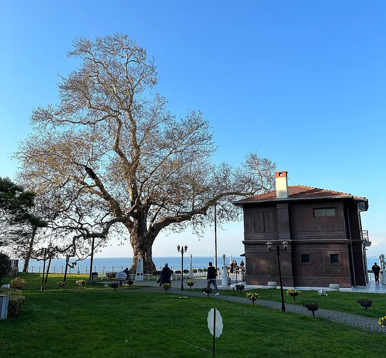 Yalova