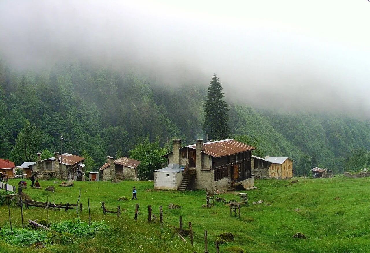 Rize