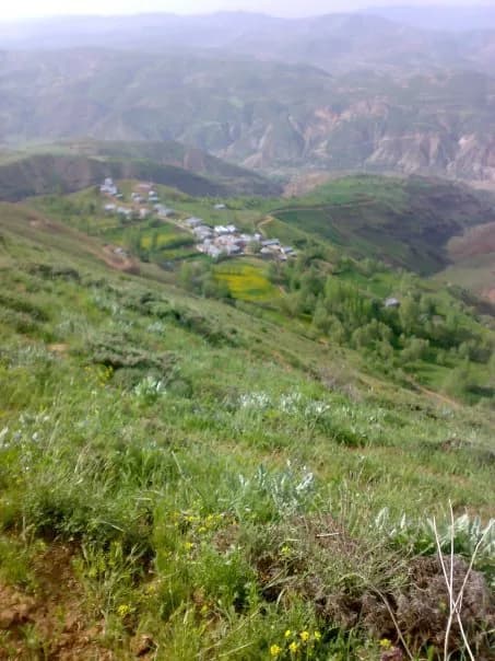 Yüzen Adalar (Solhan)