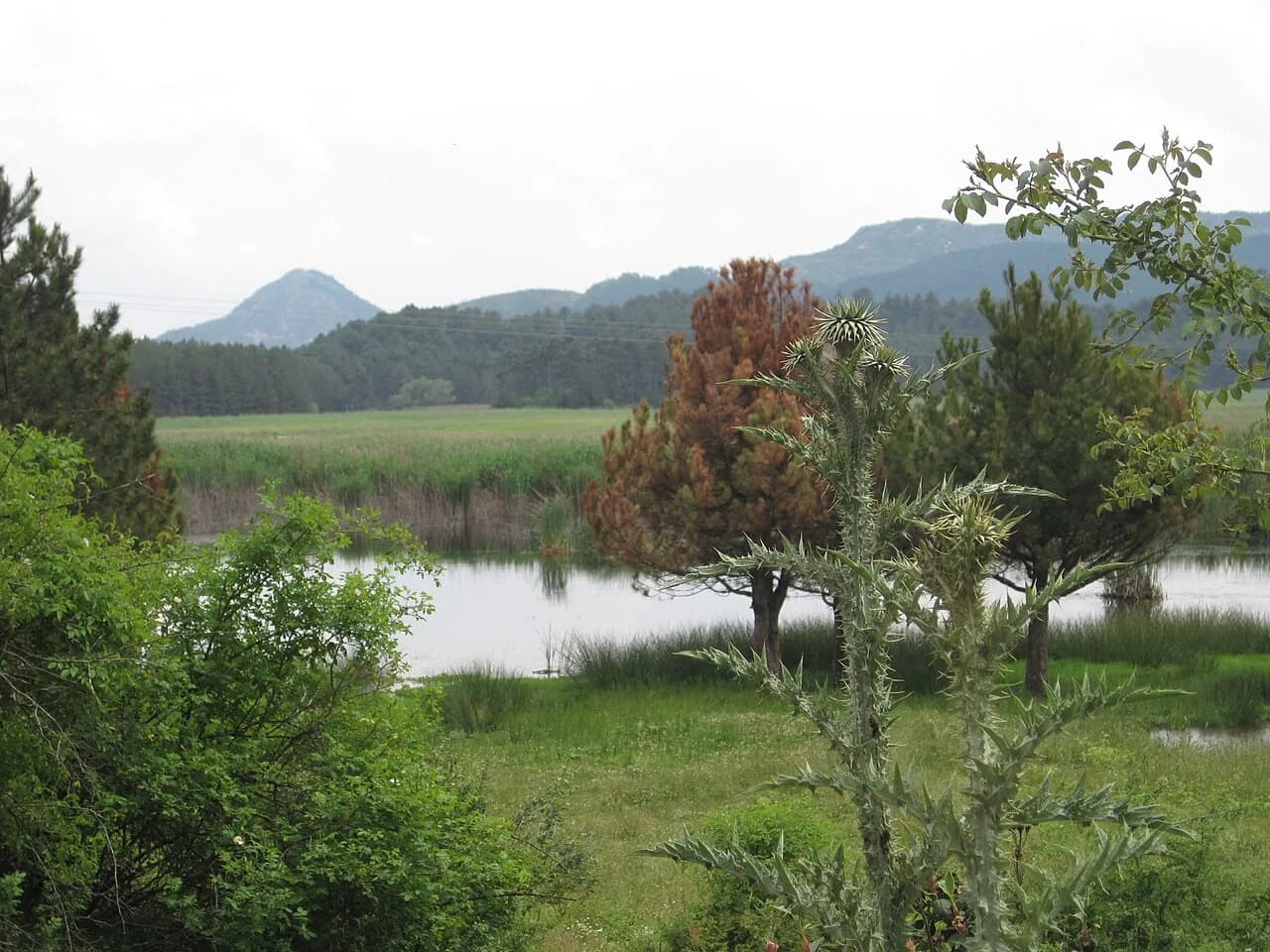 Buldan