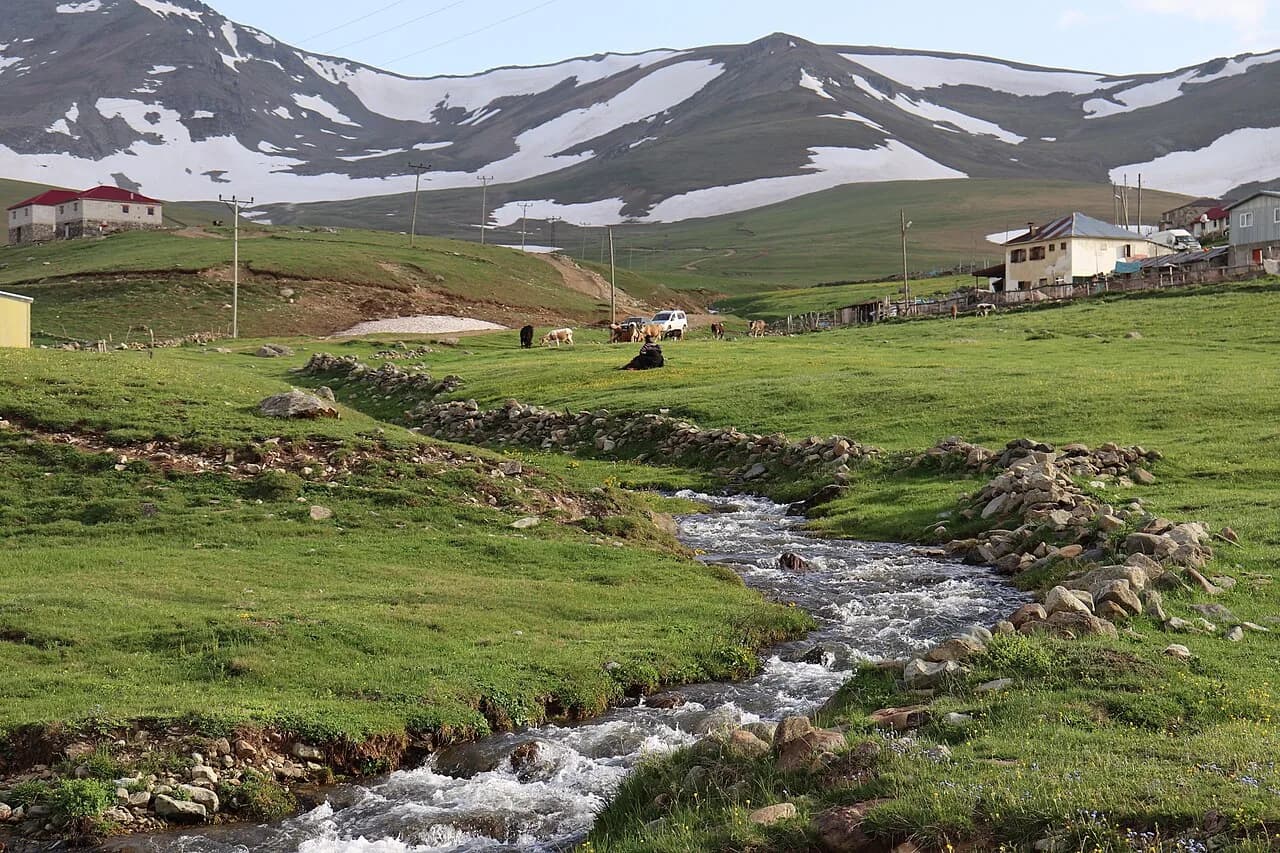 Camiboğazı Yaylası