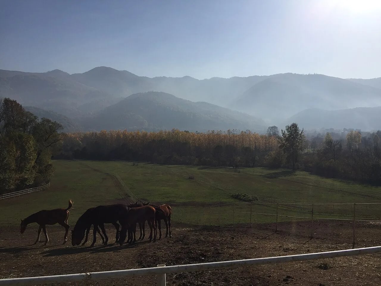 Düzce: Konuralp (Prusias ad Hypium)