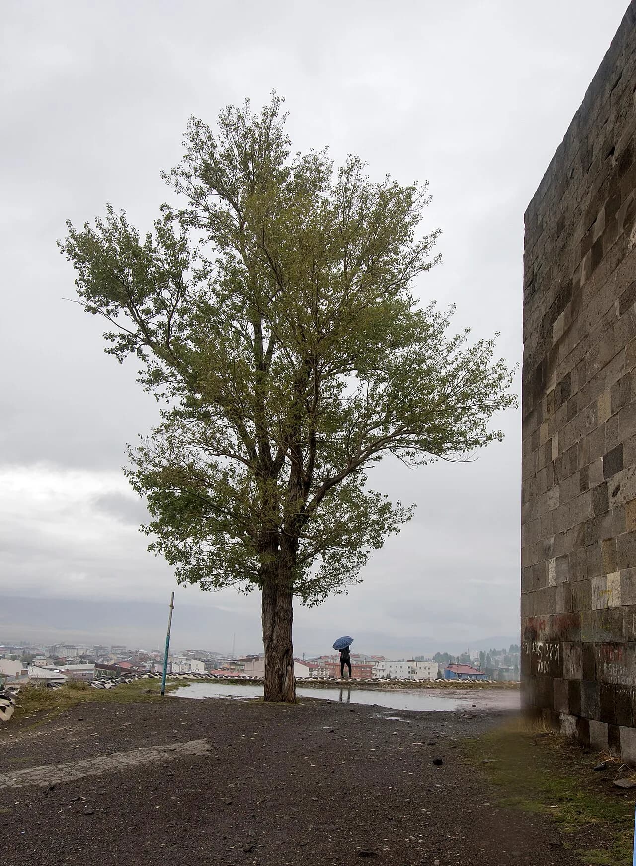 Erzurum Kalesi (Theodosiopolis)
