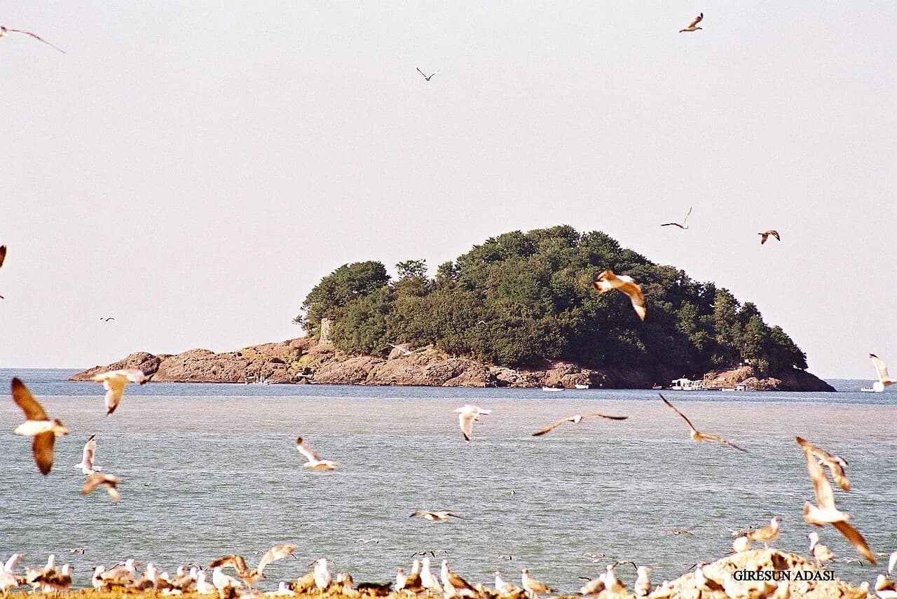 Giresun Kalesi & Topal Osman Anıt Mezarı