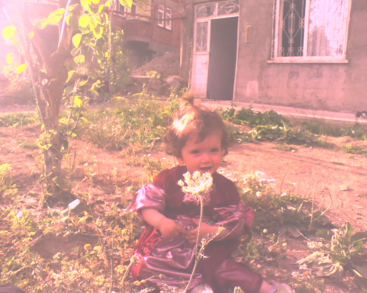 Merkez (Hakkari / Çölemerik)
