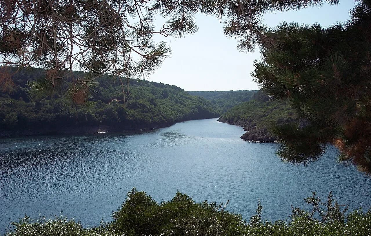 Hamsilos Koyu