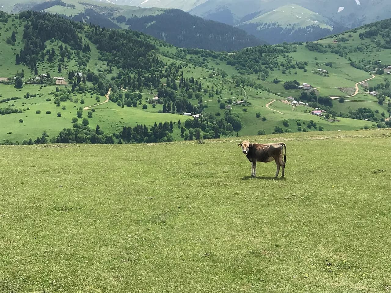 Kümbet Yaylası (1.800 m)