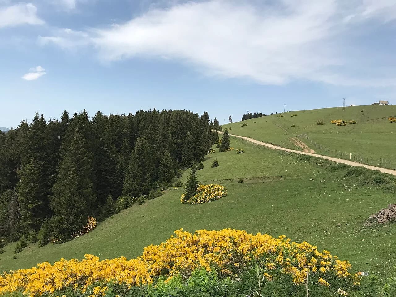 Kümbet Yaylası (1.800 m)