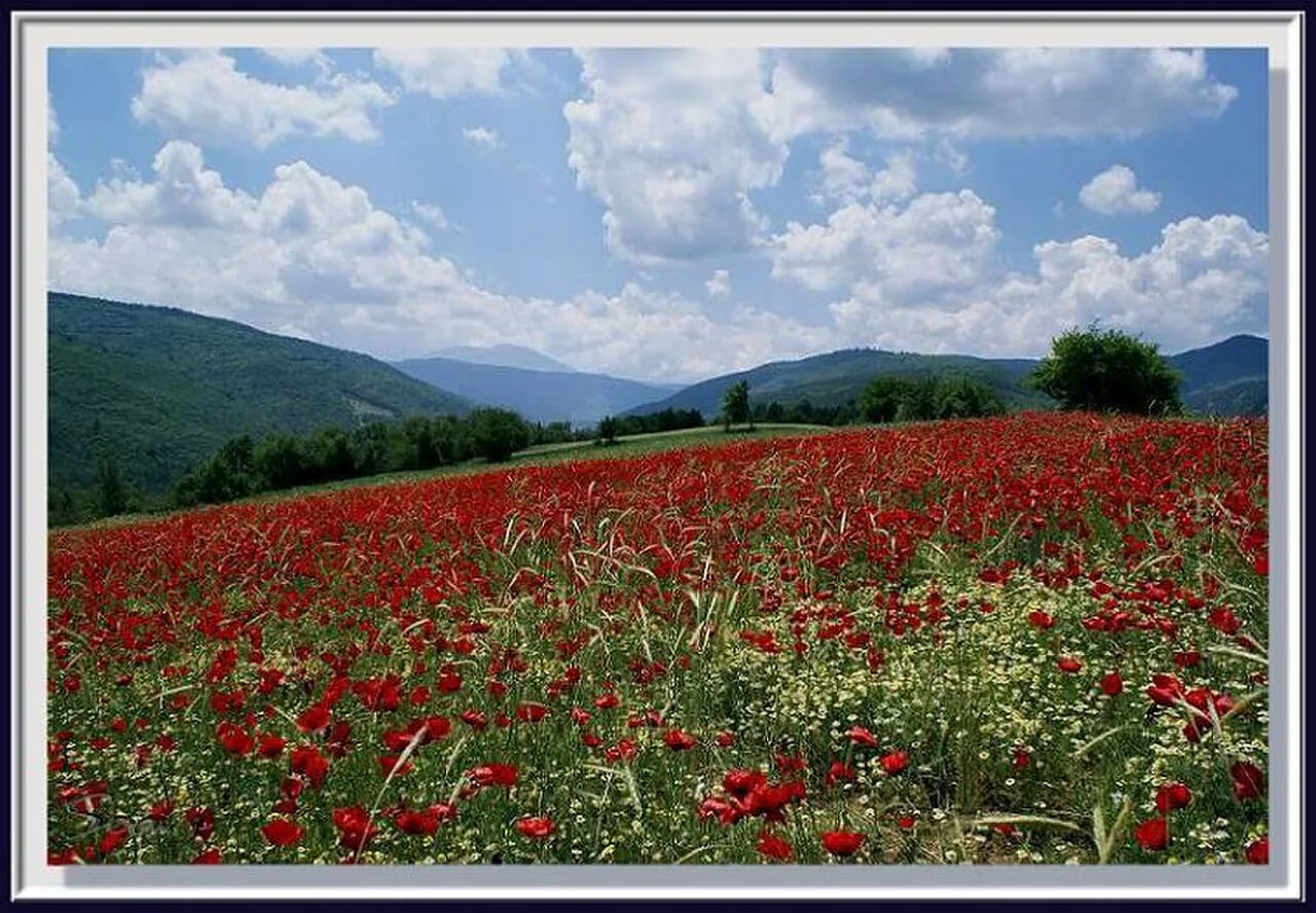 Ilgaz Milli Parkı