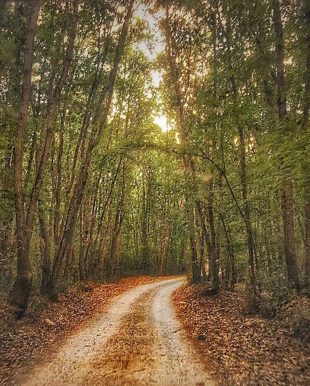 Kırklareli