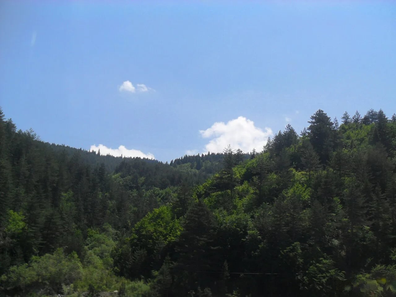 Ilgaz Dağı Milli Parkı