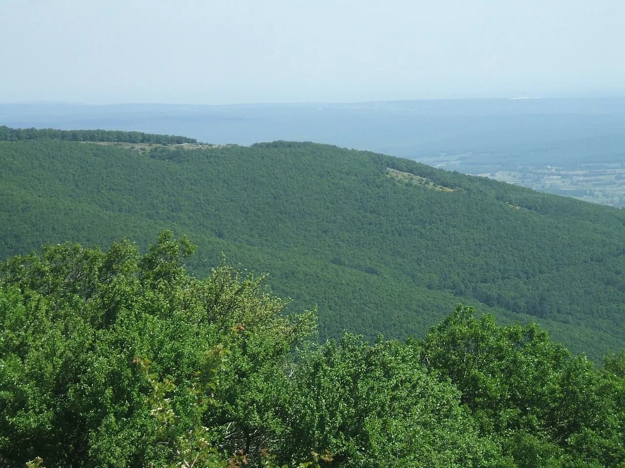 Yıldız (Istranca) Dağları