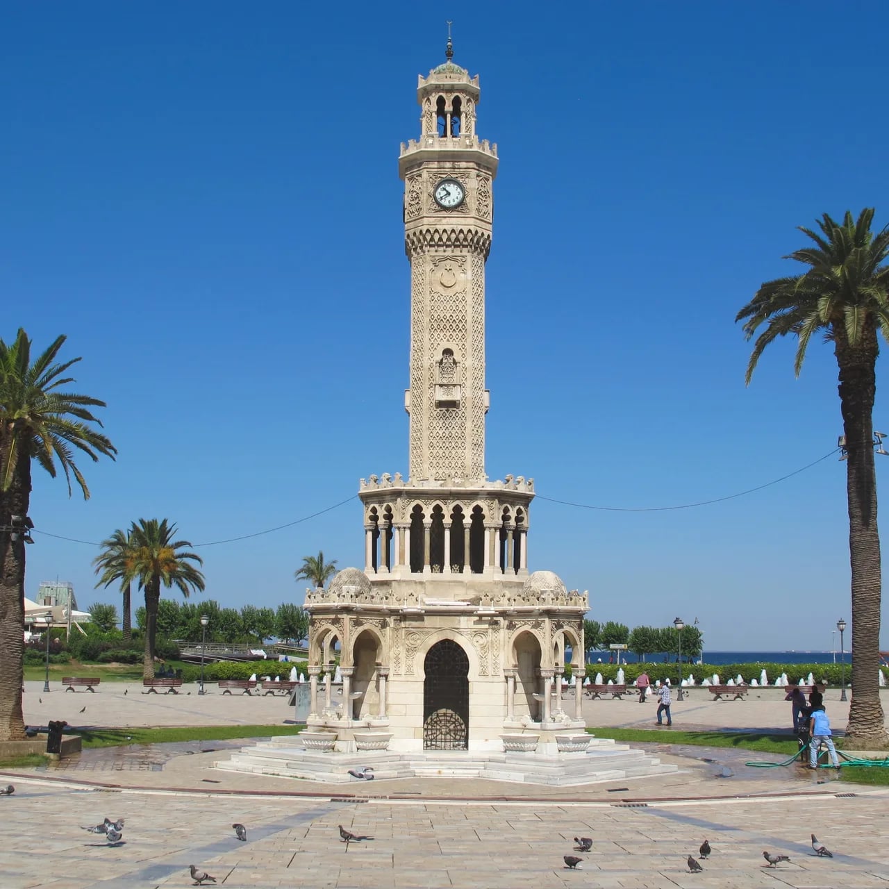 Düzce - İzmir
