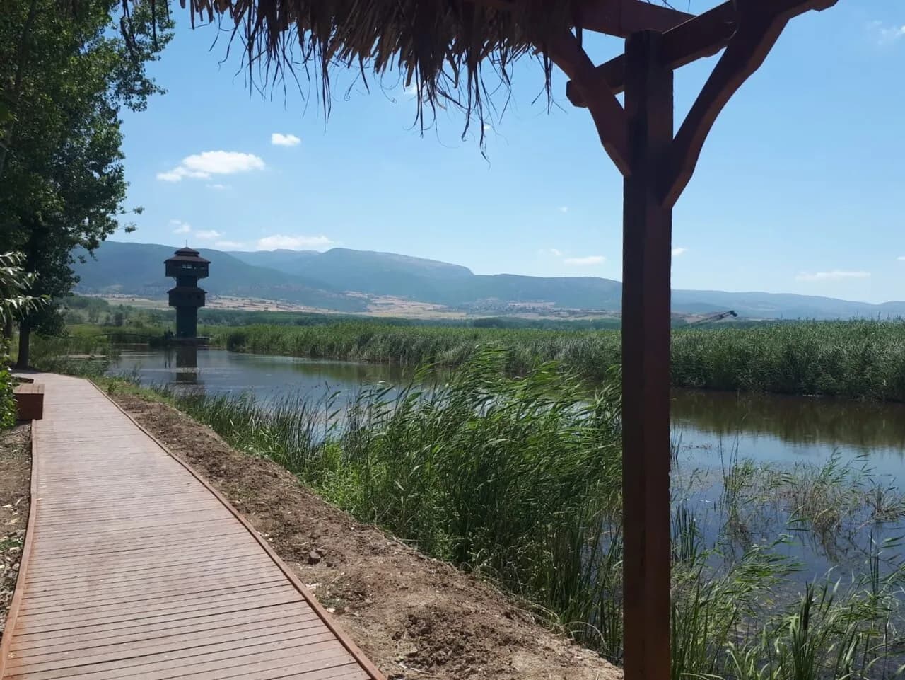Çatak Tabiat Parkı (Pazar)