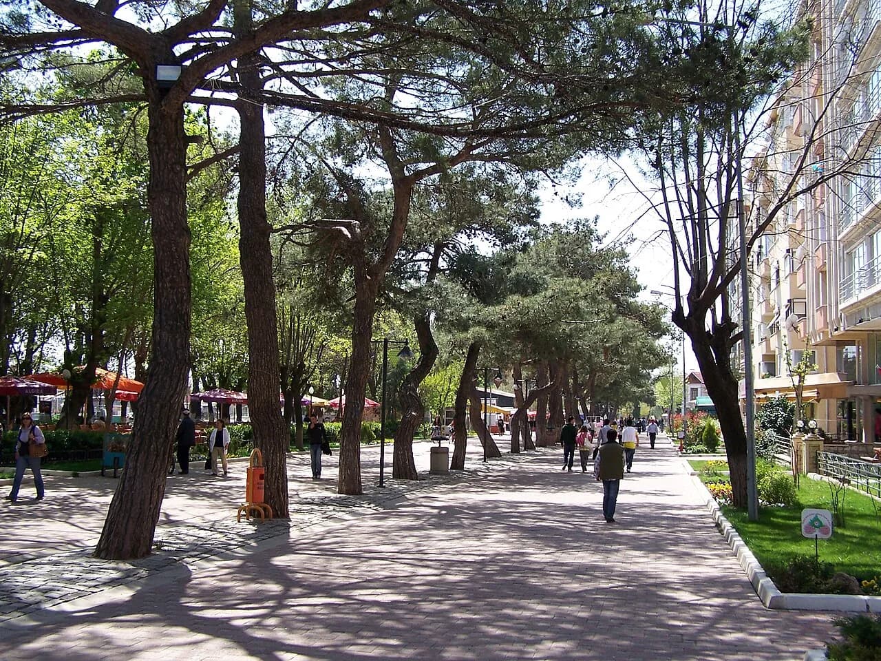 Merkez (Kırklareli)