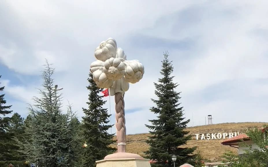 Taşköprü & Sarımsak Anıtı
