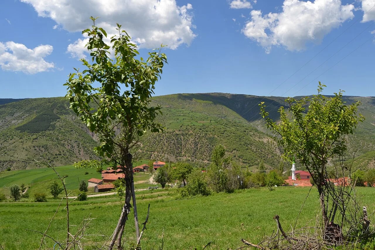 Araç (Kastamonu ilçesi)