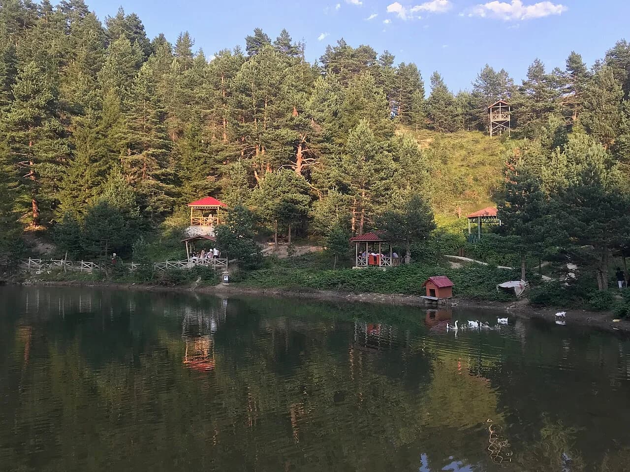 Limni Gölü Tabiat Parkı (Torul)