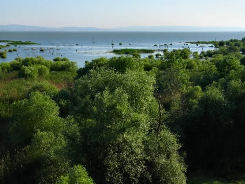 Manyas Kuş Cenneti (Ramsar 1994)