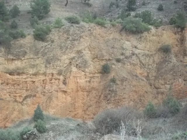 Merkez (Çorum)