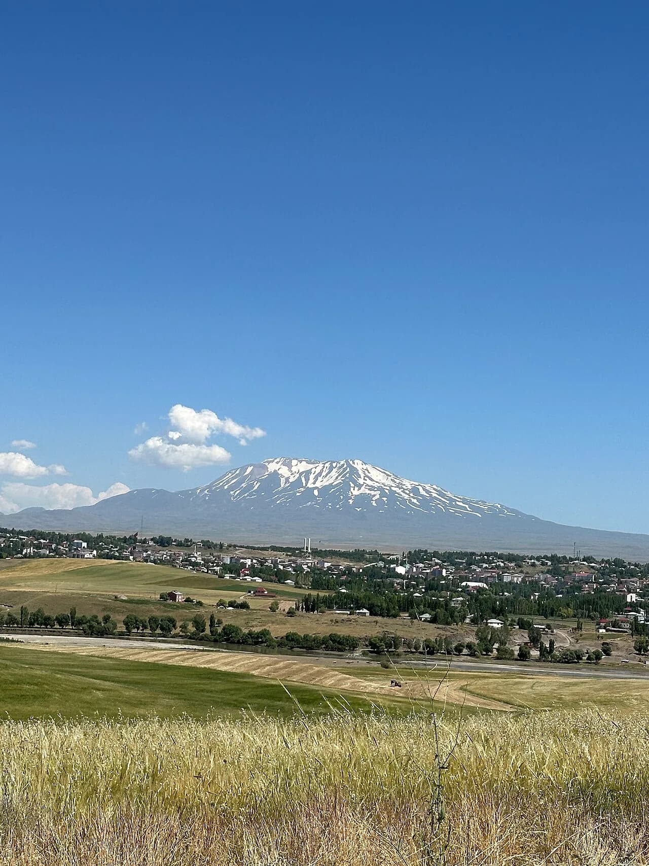 Malazgirt Kalesi