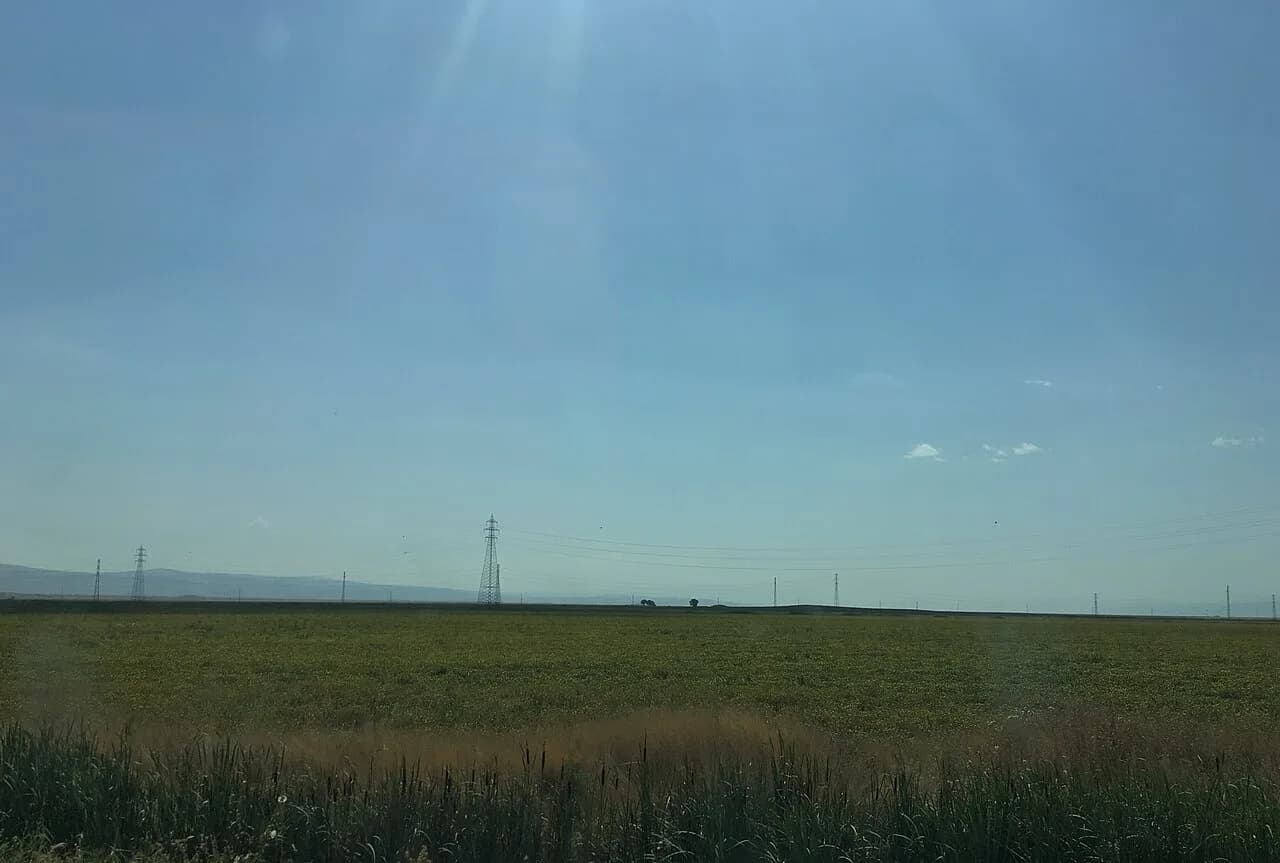 Muş Ovası Buğday Tarlaları