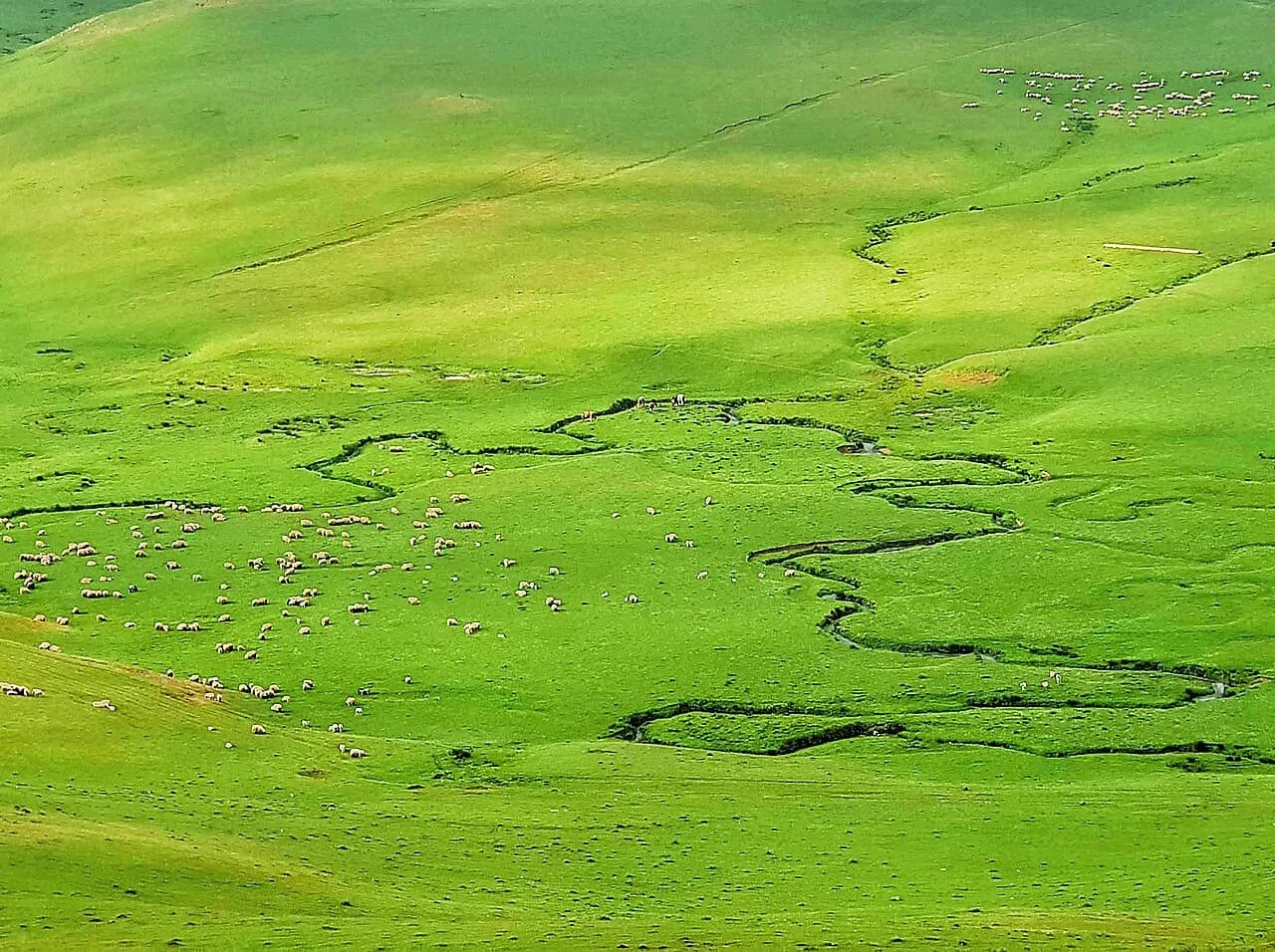 Perşembe Yaylası (Aybastı)