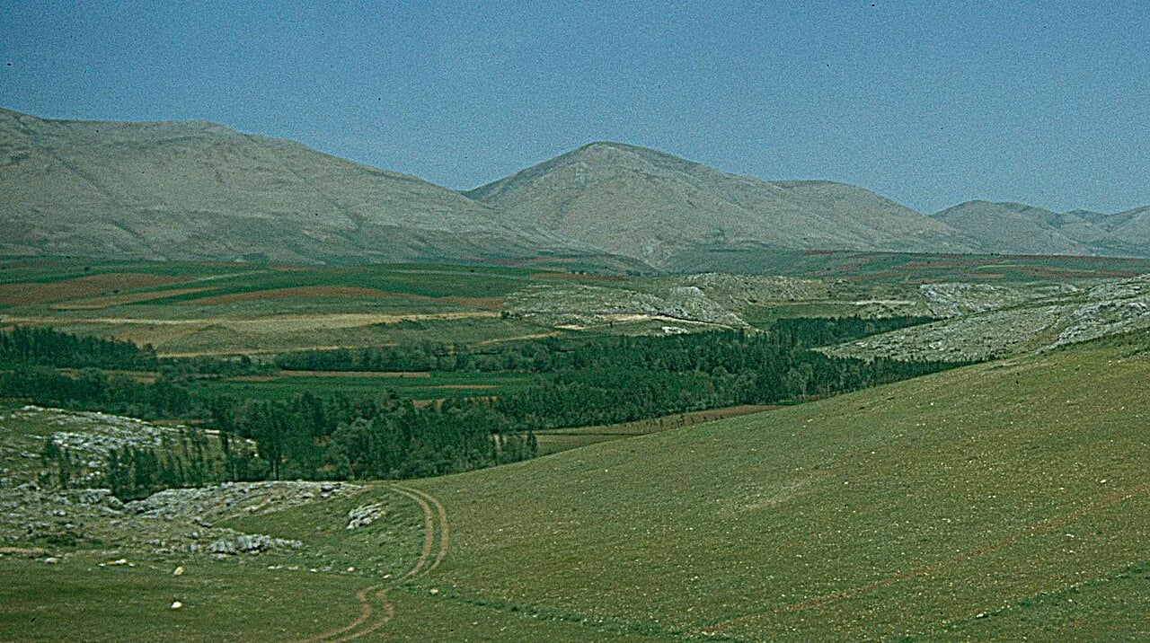 Sarız