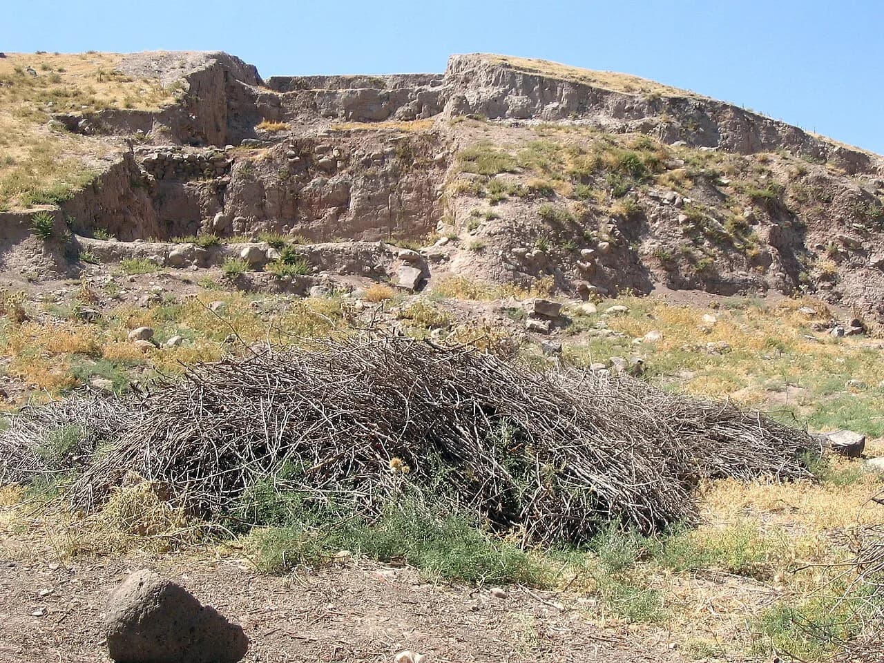 Oylum Höyük (6000+ Yıllık Yerleşim)