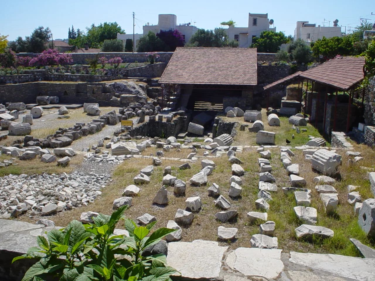 Mausolos'un Halikarnassos'u