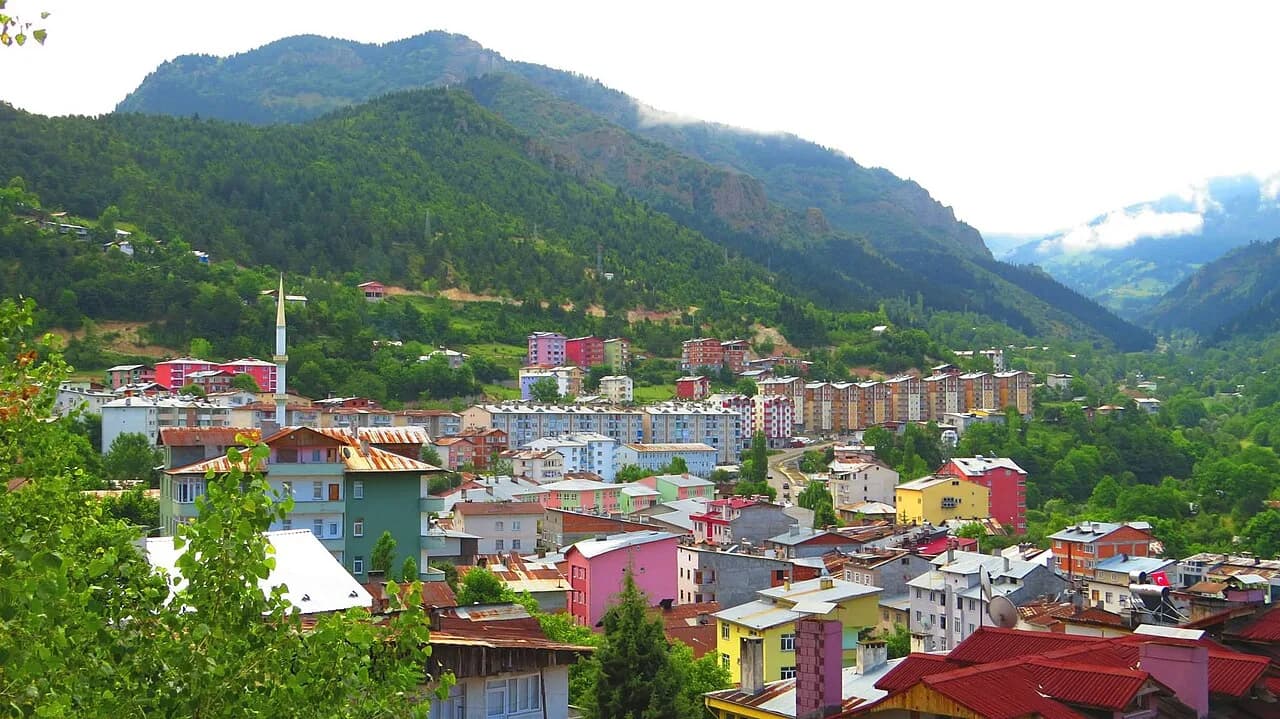 Şavşat Ahşap Çantı Camileri