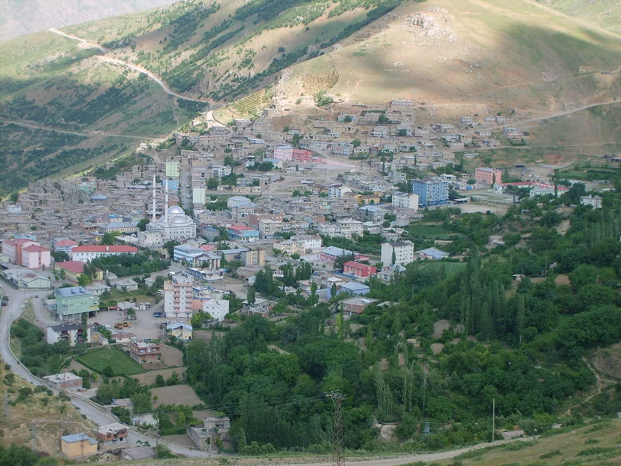 Pervari (Yüksek Dağ Balı)