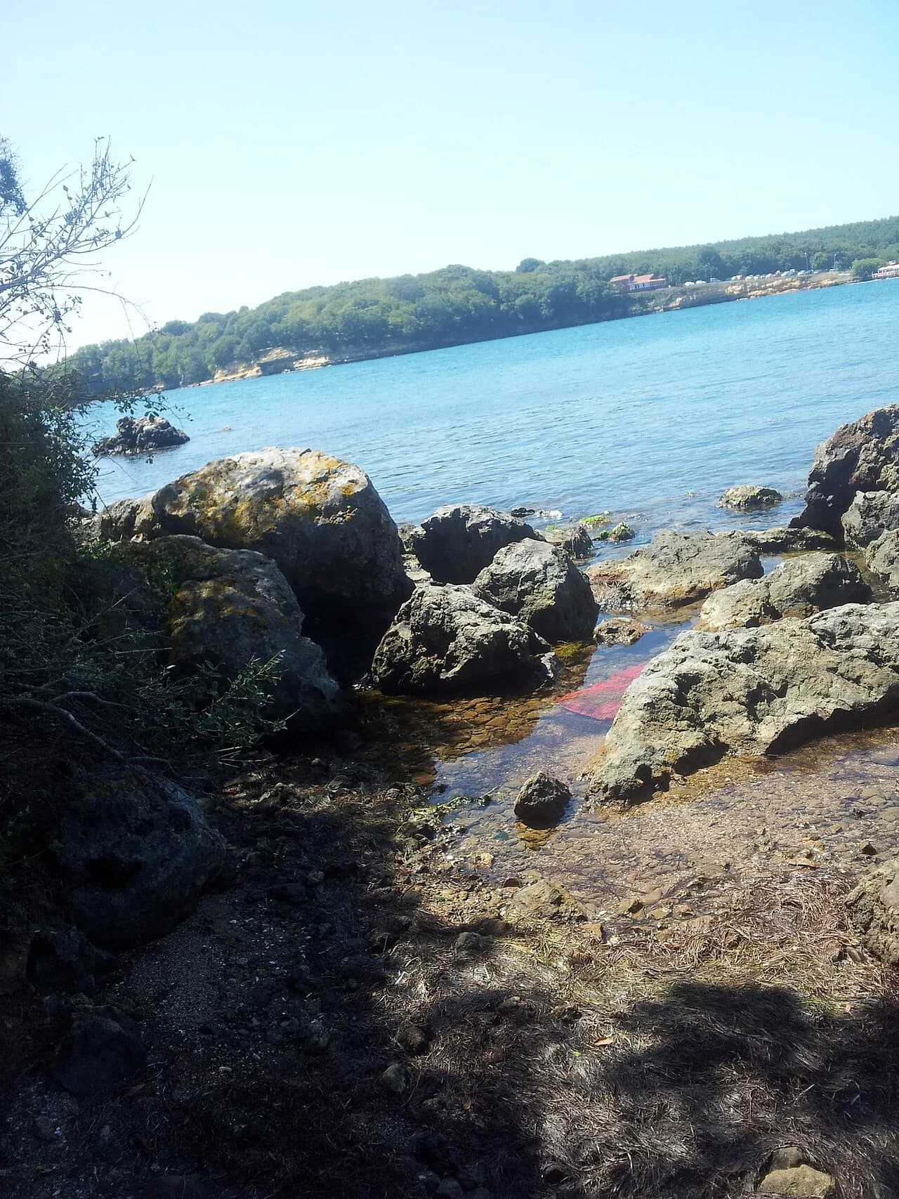 Akliman