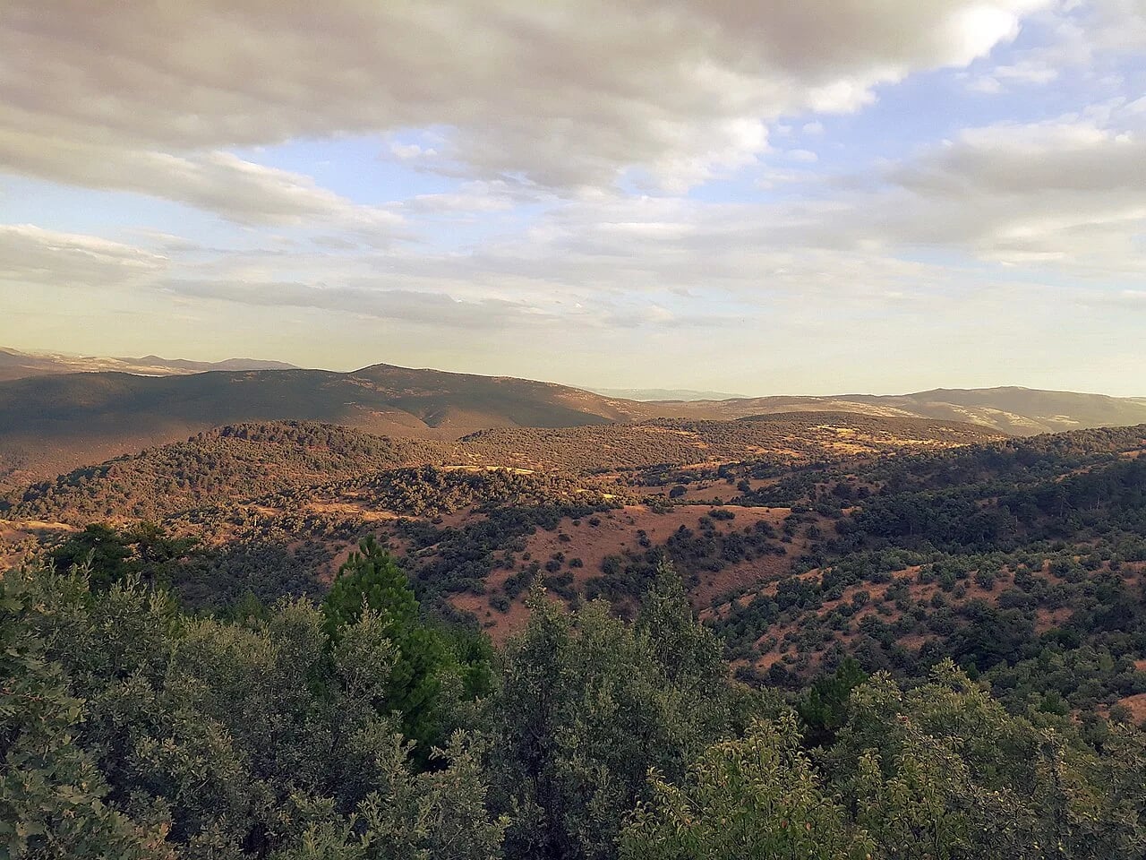 Kızılcahamam: Soğuksu Milli Parkı