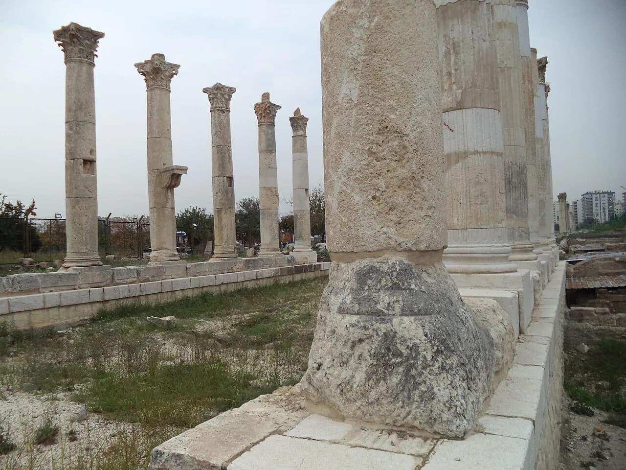Pompeius'un Zaferi, Cleopatra ve Aziz Pavlus